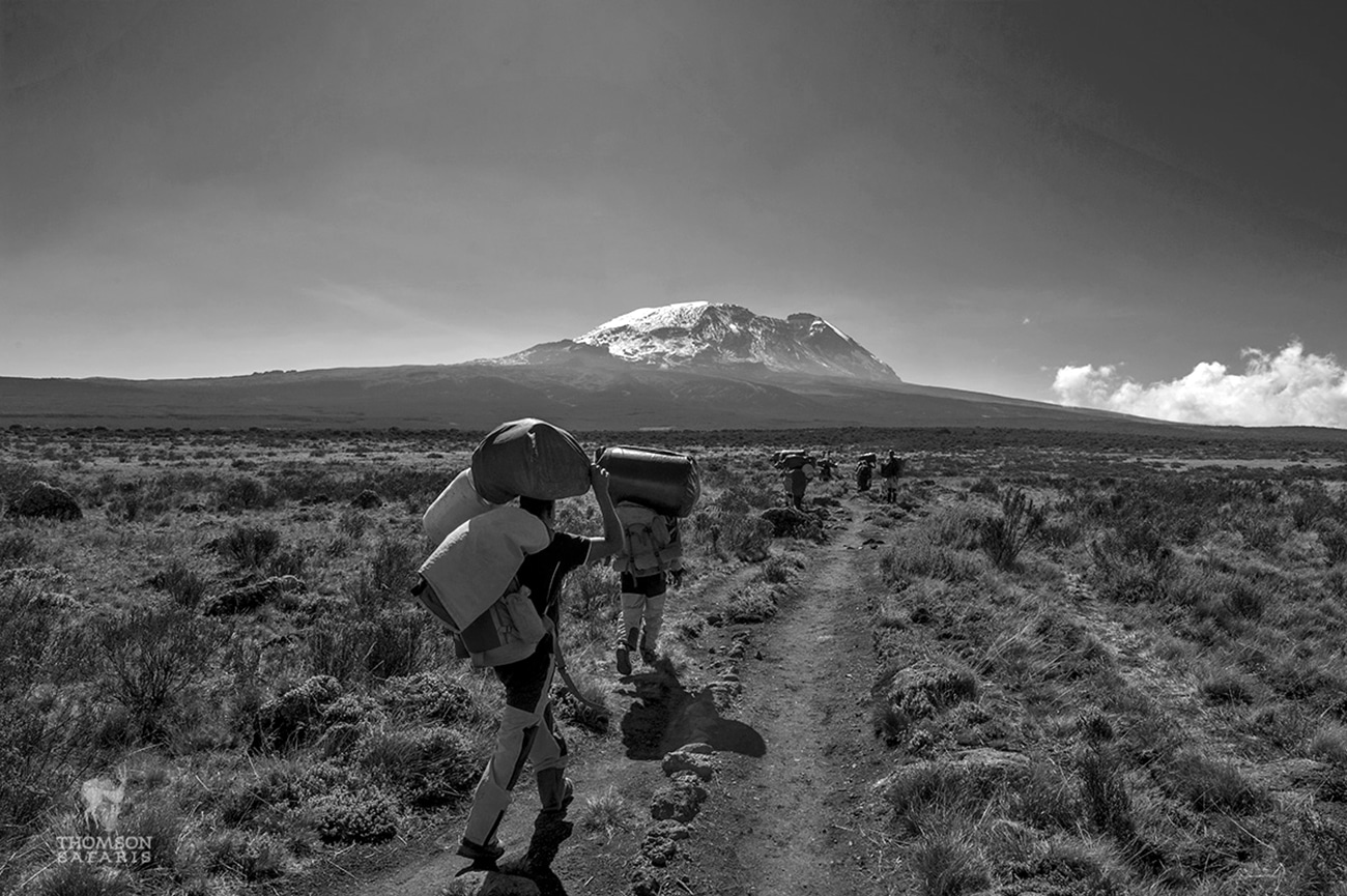 Mount Kilimanjaro Porters - Their Roles, Conditions of Employment, Wages, and Benefits