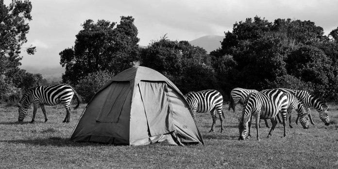 Tanzania Camping Safari - Everything You Need to Know