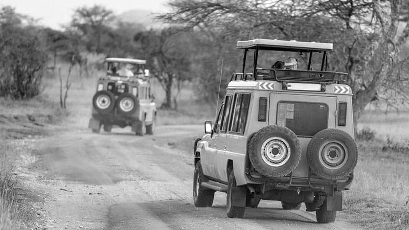 Tanzania closed safari vehicle example