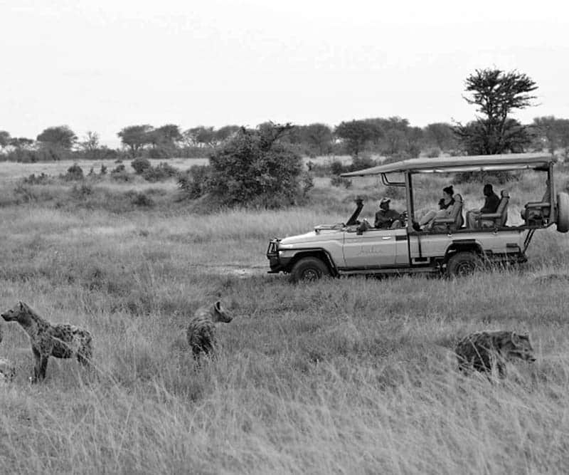 Tanzania open safari vehicle example