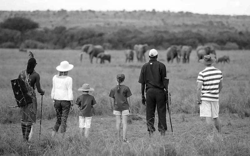 Tourist family with kids watching an elephant