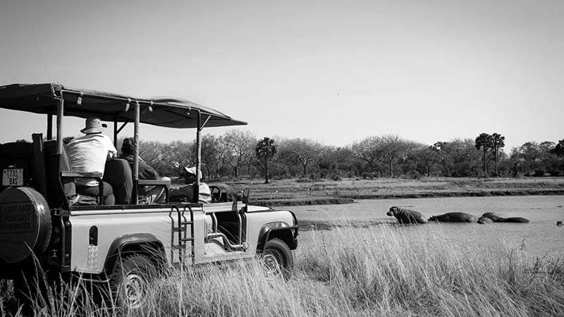 Tourists watching hippos on a self drive safari in Tanzania