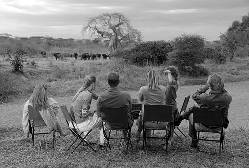 A group of tourists observing animals in one of the Tanzanian national parks