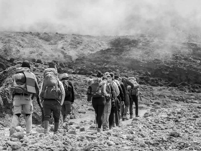 Kilimanjaro Trails - Records, Comparison Chart and More