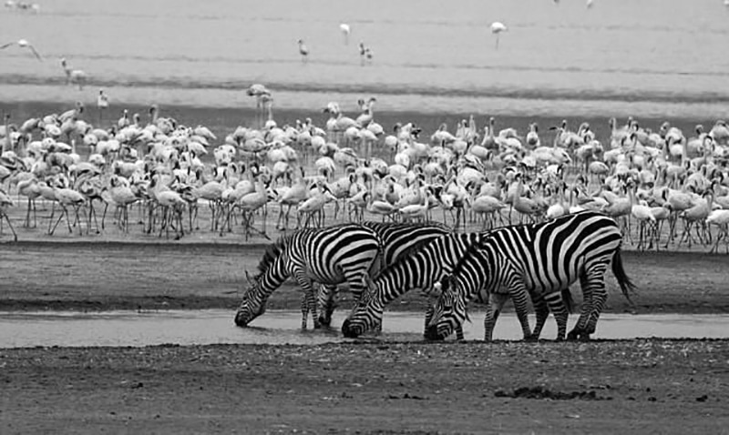 Lake Manyara