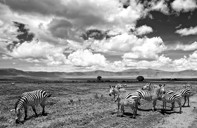 The Ngorongoro Conservation Area