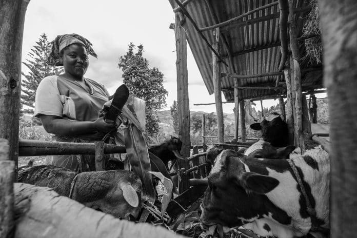 A Quick Snapshot of Livestock Keeping in Tanzania