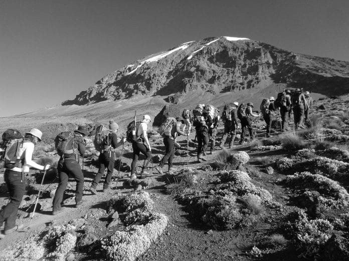 Kilimanjaro Hike - Everything You Need to Know