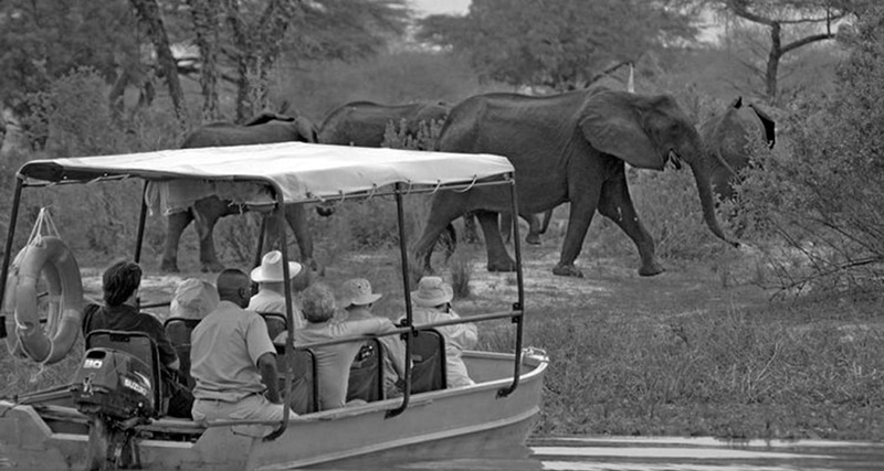 Tourists in a private Selous Game Reserves tour