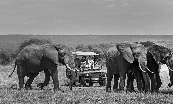 10 Days Tanzania Safari and Zanzibar - What Can You Accomplish