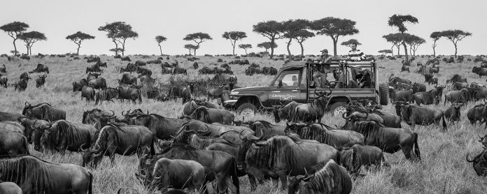 East African Safari - Which Safari is Better Kenya or Tanzania
