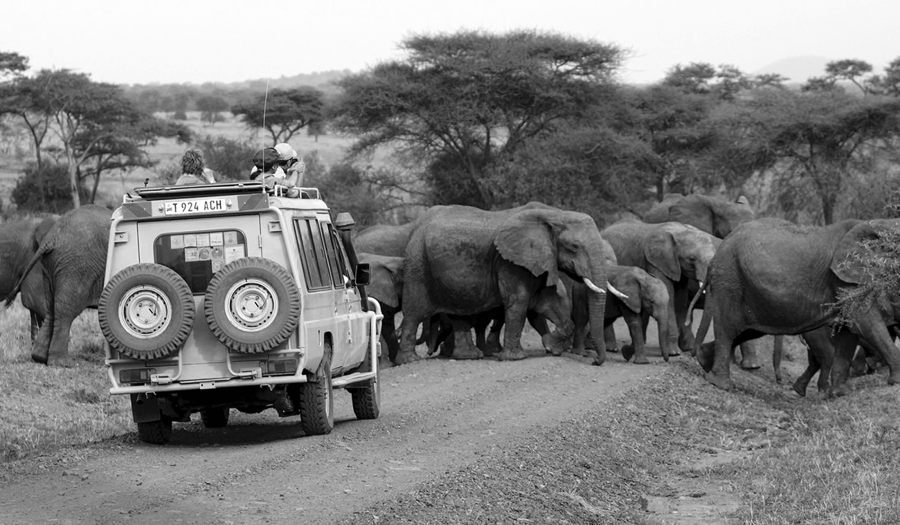 tauck safari kenya tanzania