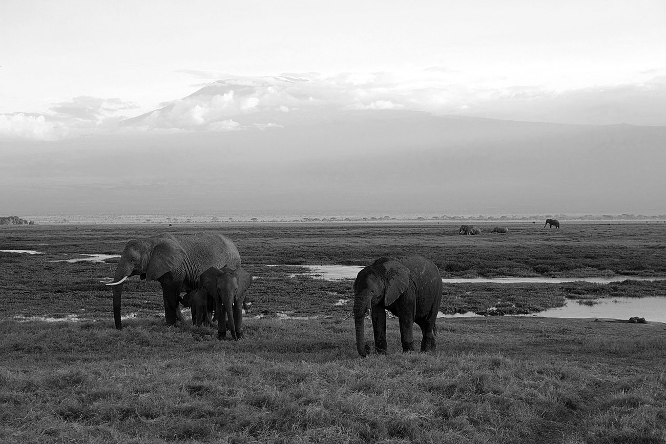 g adventures safari in kenya and tanzania