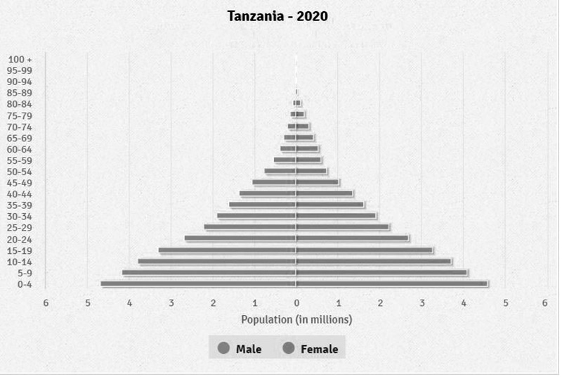 Tanzania population pyramid