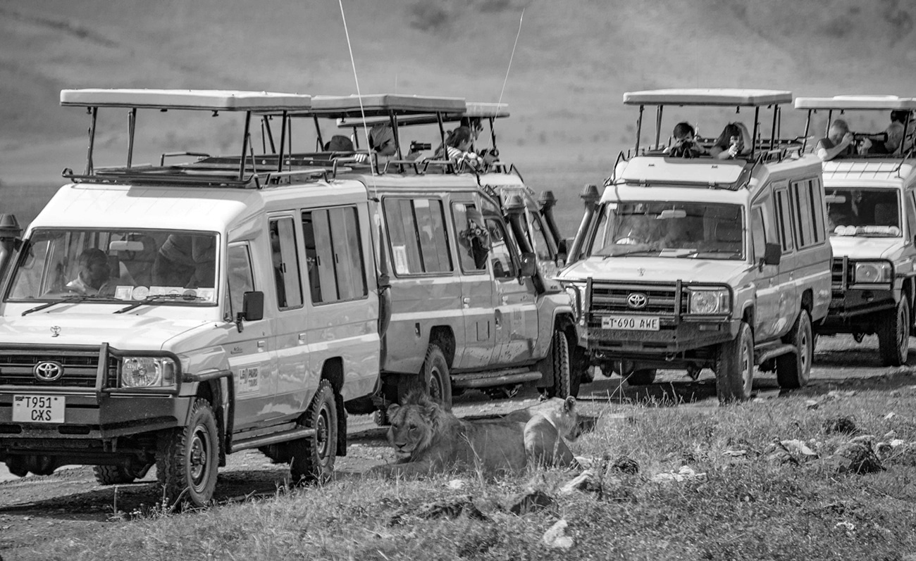 kenya tanzania safari itinerary