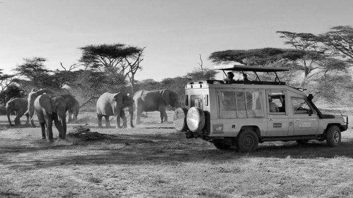 Unearth Africa - The Ultimate Combined Kenya and Tanzania Safaris