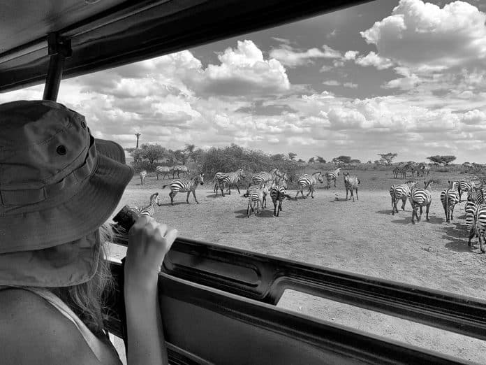 Unraveling the Best Time to Travel to Tanzania For Safari