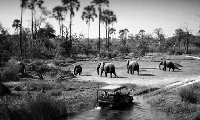 5 Day Safari Tanzania - A Comprehensive Guide