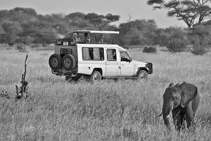 is safari cheaper in kenya or tanzania