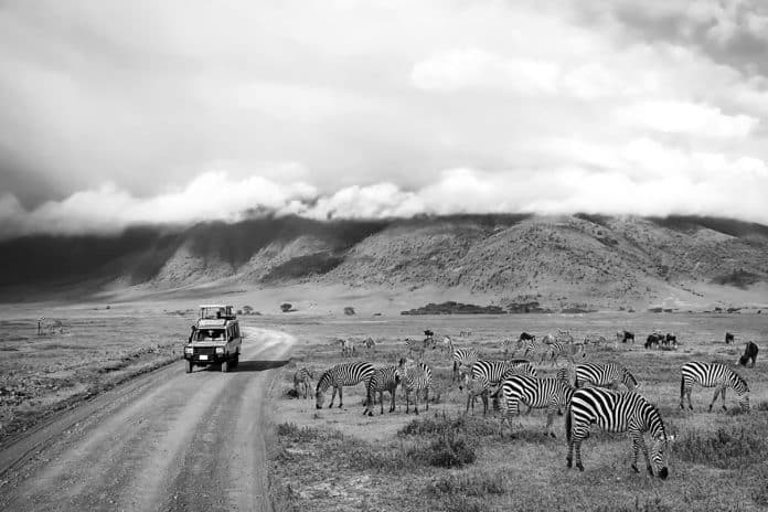African Safari Tours Kenya and Tanzania - The Ultimate East Africa Adventure