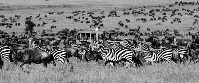 An Unforgettable Journey - Kenya Tanzania Wildlife Safaris
