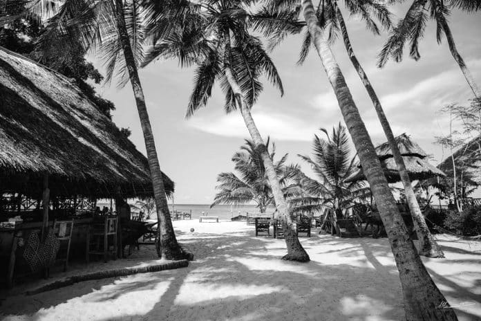 Beaches in Dar es Salaam Tanzania - A Tropical Paradise