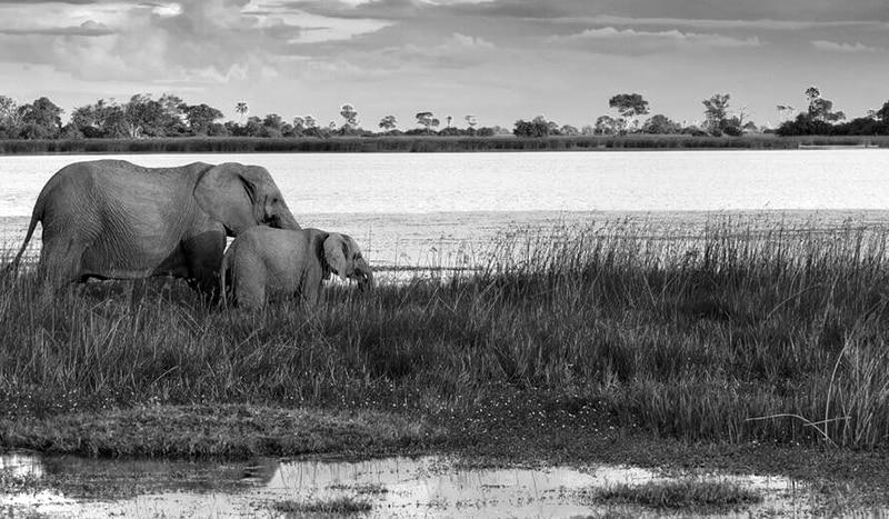 Botswana’s Okavango Delta