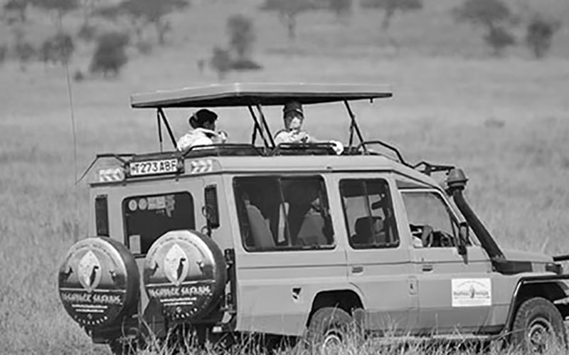 Bushbuck Safaris SUV with tourists