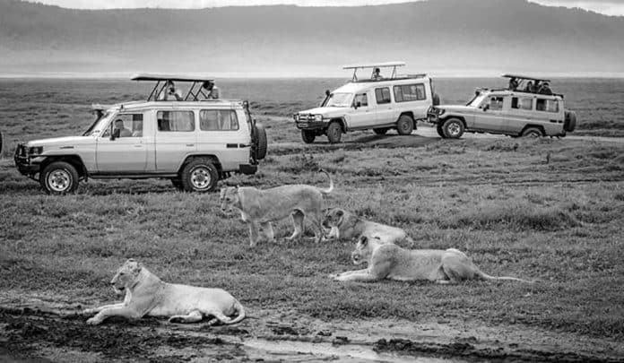 Discovering Tanzania - An Insight into World Tours & Safaris Tanzania