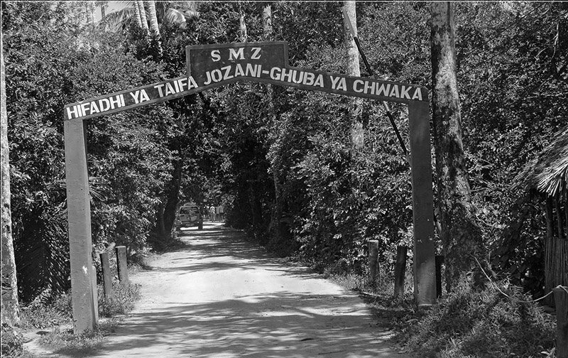 Entrance to the Jozani Forest Zanzibar