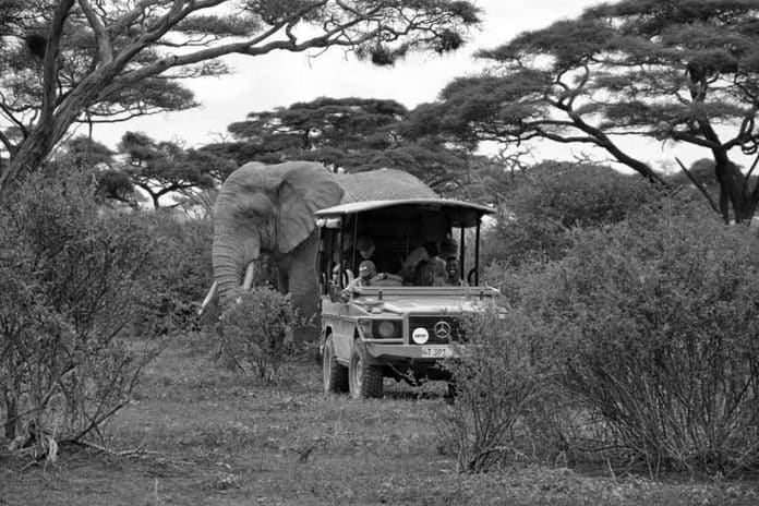 Experience Tanzania in One Day - A Comprehensive Guide to 1 Day Safari Tour Tanzania