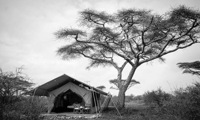 Experience the Wonders of Nature at Nomad Tanzania Serengeti Safari Camp