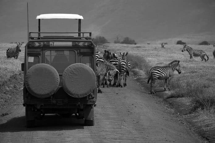 Luxury Short Safari Tanzania - A Unique and Memorable Experience