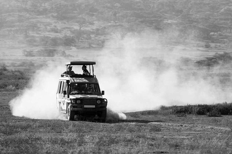 Ndutu Area- Safari vehicle off roading