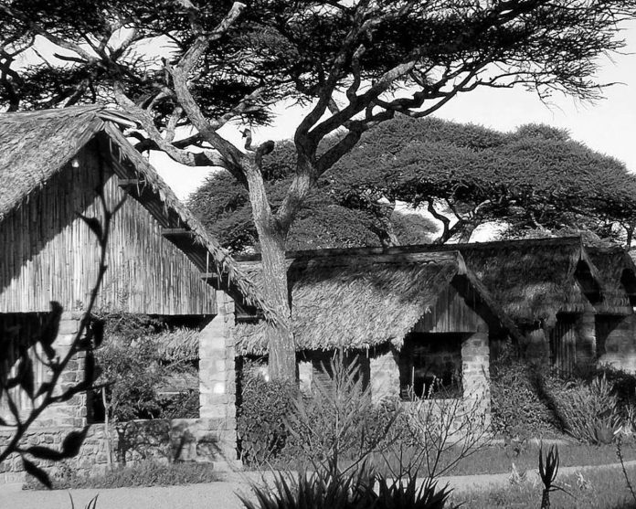 Ndutu Safari Lodge Tanzania - A Gem in the Serengeti Ecosystem