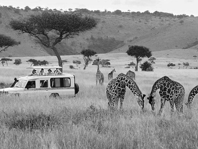 Safari Holidays Tanzania and Zanzibar - Quick Guide