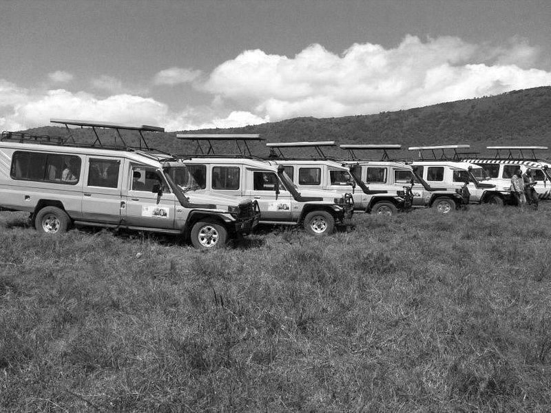 Shadows of Africa fleet of Safari cars