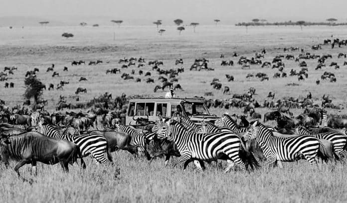 Tanzania Safari Serengeti Ngorongoro and Zanzibar Combo Vacation