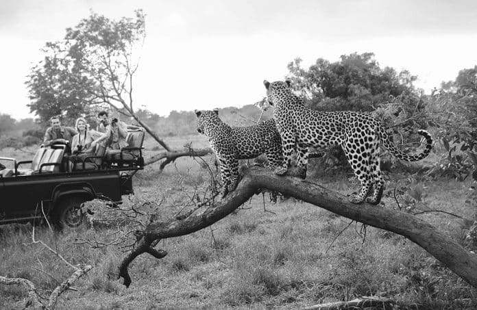 The Safari Experience - Globus Kenya and Tanzania