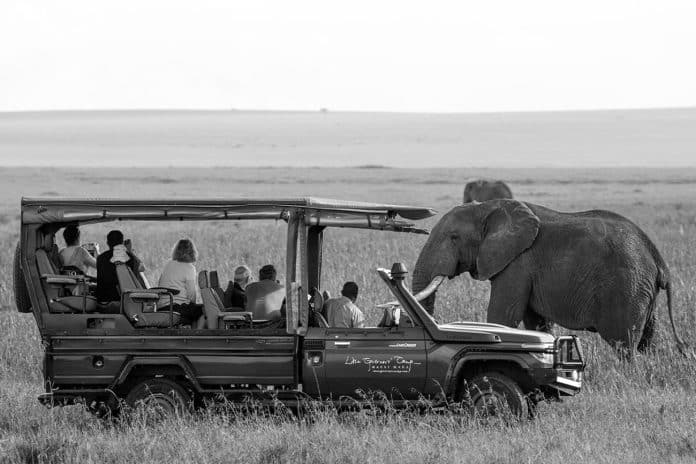The Thrill of Group Safari Tours in Tanzania - A Comprehensive Guide