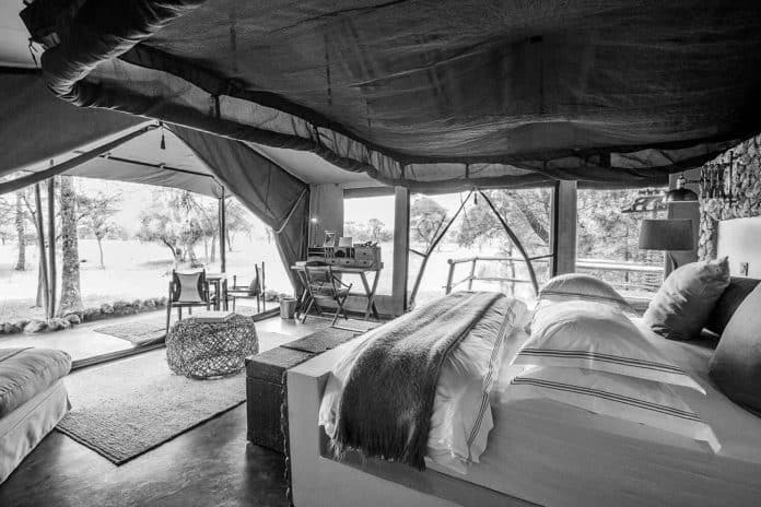 The Ultimate Guide to Africa Safari Lodge Tanzania – Chem Chem Safari Lodges and Four Seasons Safari Lodge