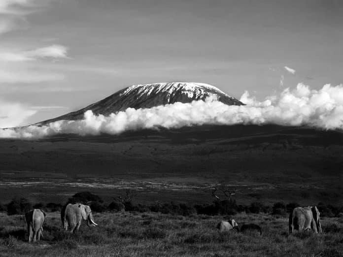 The Ultimate Guide to a Thrilling 3 Day Budget Safari in Tanzania