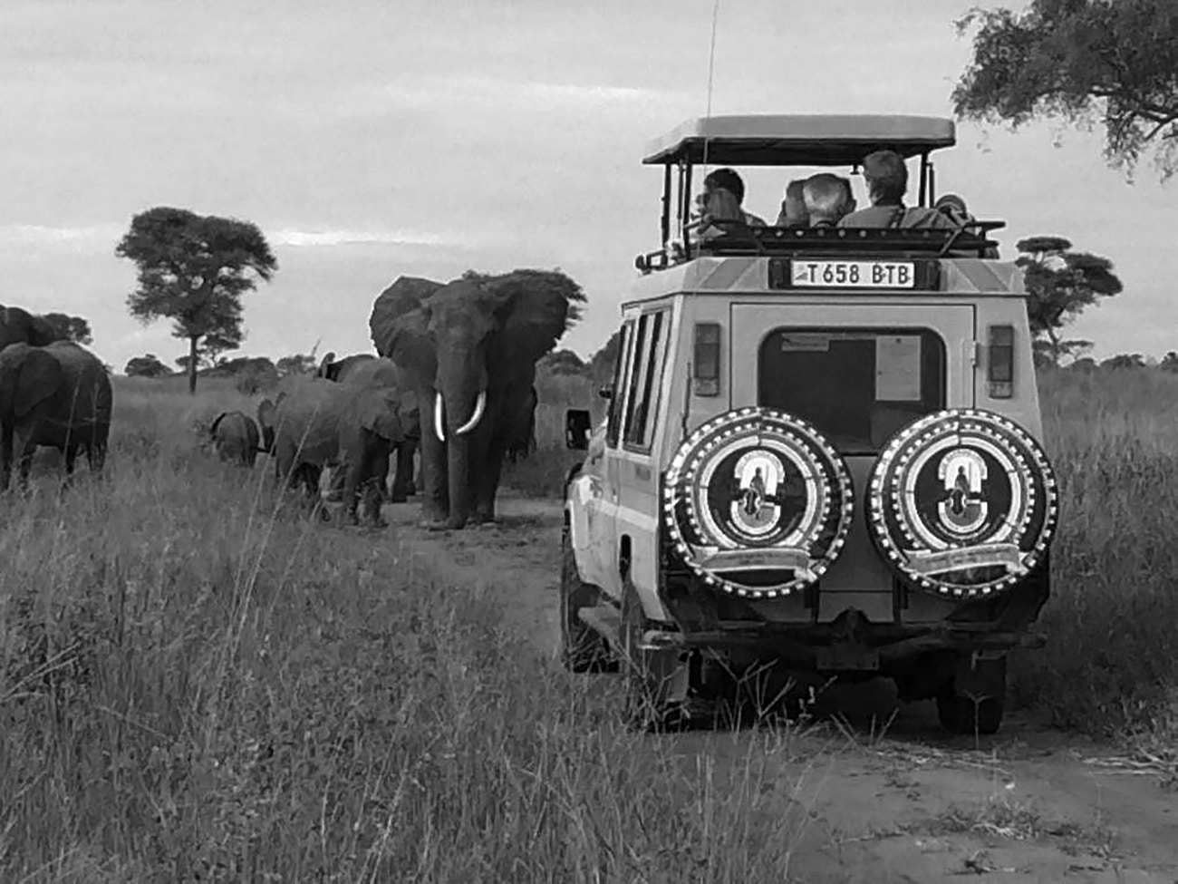 top rated tanzania safari companies
