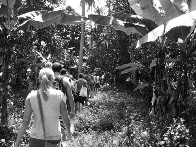 Tourists on a spice tour in Zanzibar - walking through plantations
