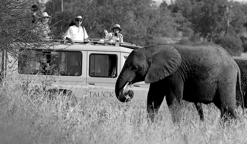 Tourists watching an elephant in a Tauck safari SUV