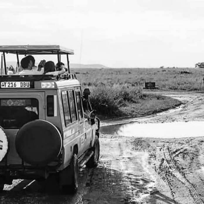 Trust Tours and Safaris Company Tanzania - A Journey through the Wild
