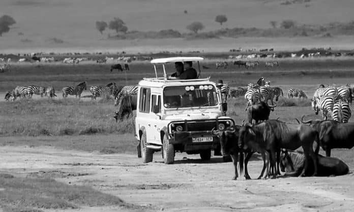 Unmasking Tanzania Serengeti Safari Prices