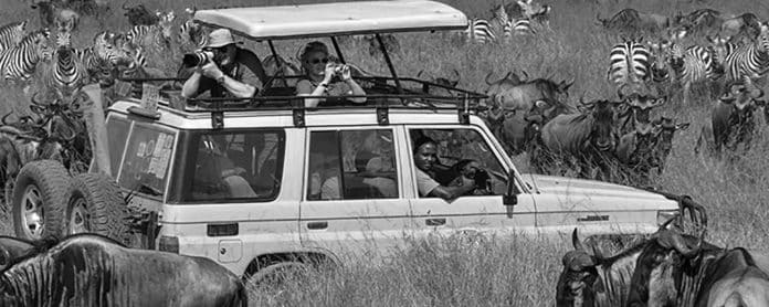 Unveiling the Tanzanian Safari - An In-depth Analysis of Costs Per Day
