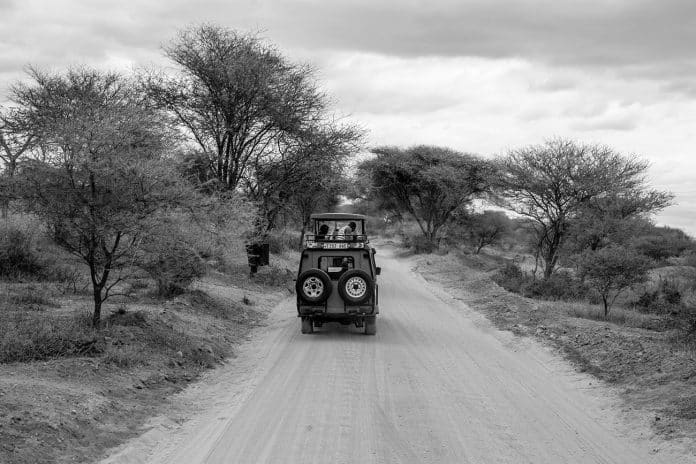 Your Ultimate Guide to Safari Tour Companies Tanzania