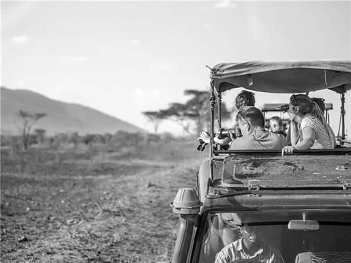 Discover the Best Small Group Safari Experiences in Tanzania